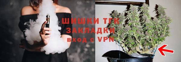 ПСИЛОЦИБИНОВЫЕ ГРИБЫ Верея