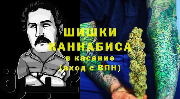 ПСИЛОЦИБИНОВЫЕ ГРИБЫ Верея