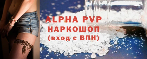 ПСИЛОЦИБИНОВЫЕ ГРИБЫ Верея