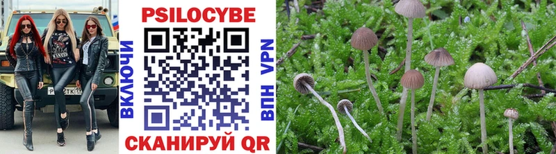 Галлюциногенные грибы Magic Shrooms  Купить где  Гусь-Хрустальный 